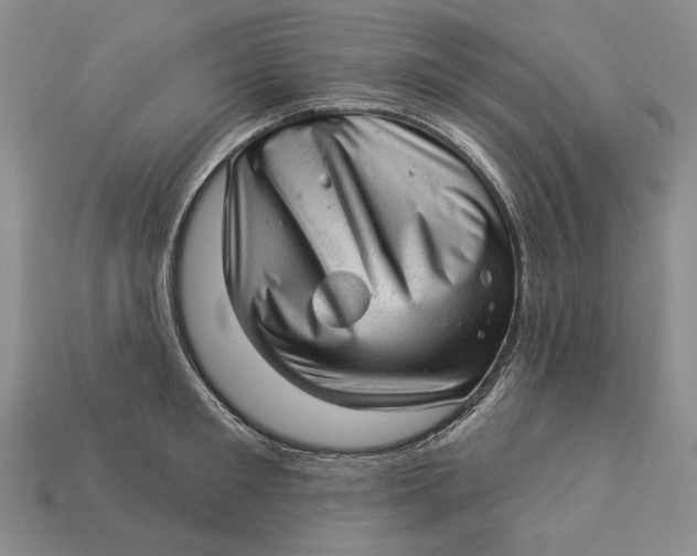 X0000112980901200909171336