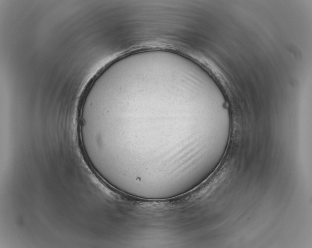 X0000112980902200909171336