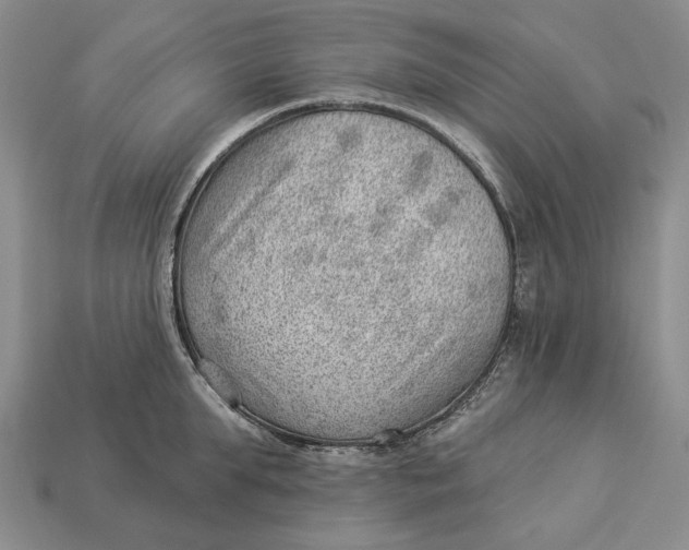 X0000112980903200909171336