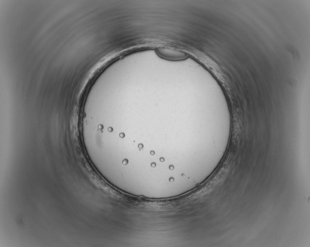 X0000112980904200909171336