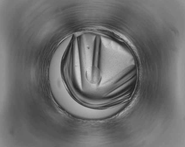 X0000112980905200909171336