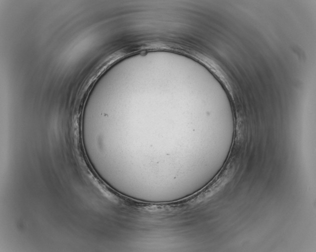 X0000112980906200909171336