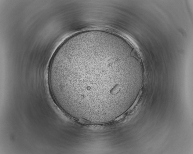 X0000112980907200909171336