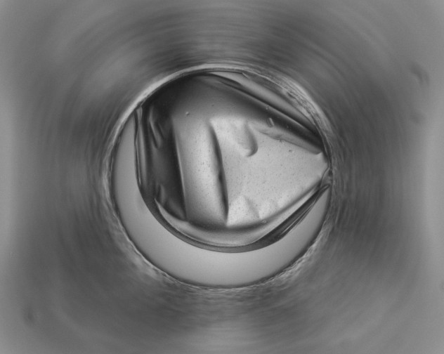 X0000112980908200909171336