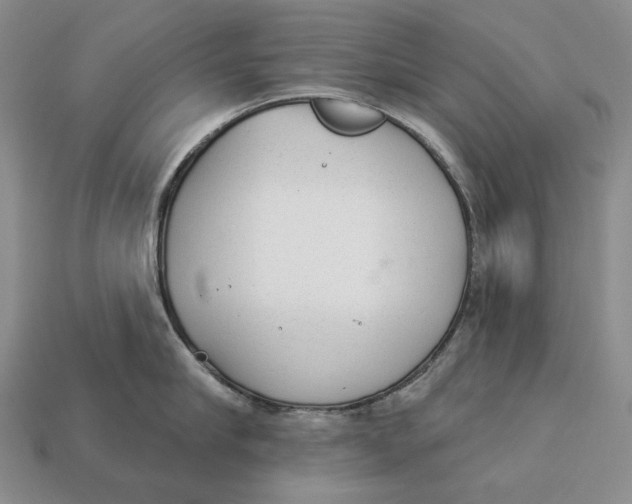 X0000112980910200909171336