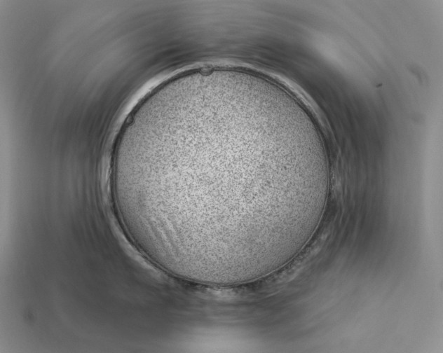 X0000112980911200909171336