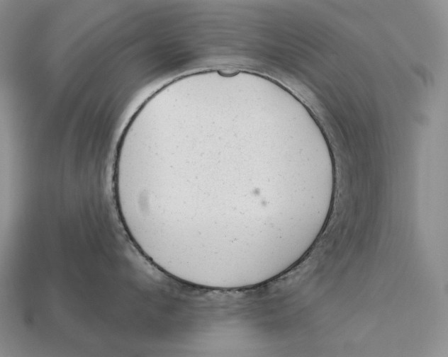 X0000112980912200909171336