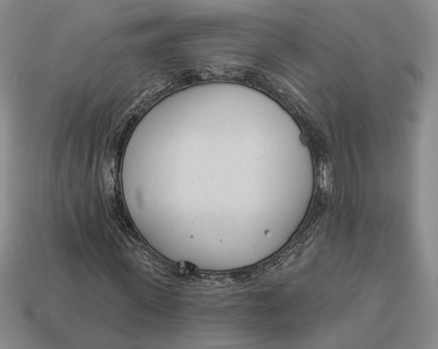 X0000112980915200909171335