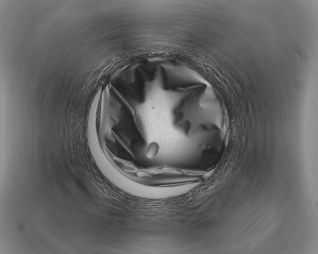 X0000112980916200909171335