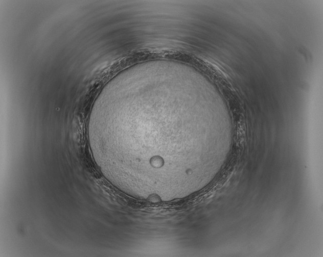 X0000112980917200909171335