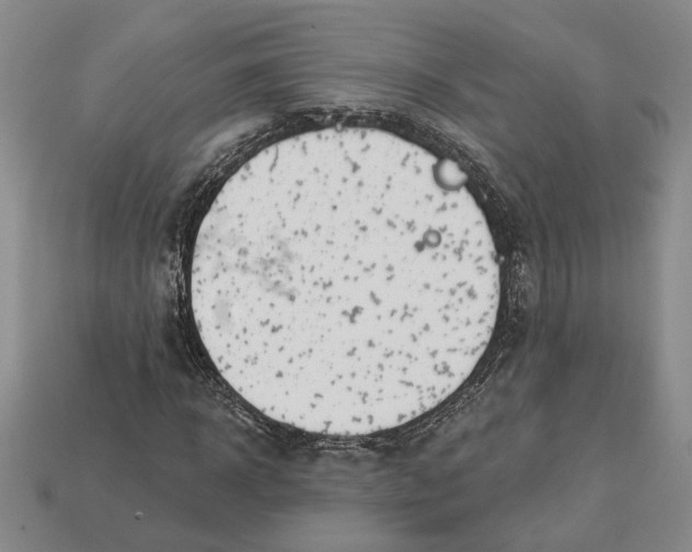 X0000112980918200909171335