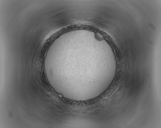 X0000112980919200909171335