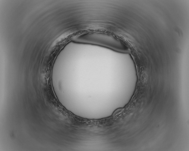 X0000112980920200909171335