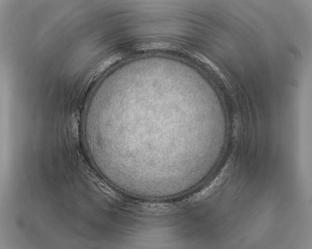 X0000112980921200909171335