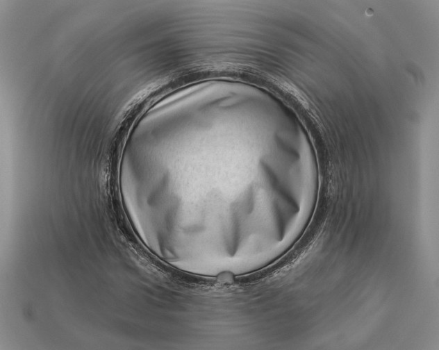 X0000112980922200909171335