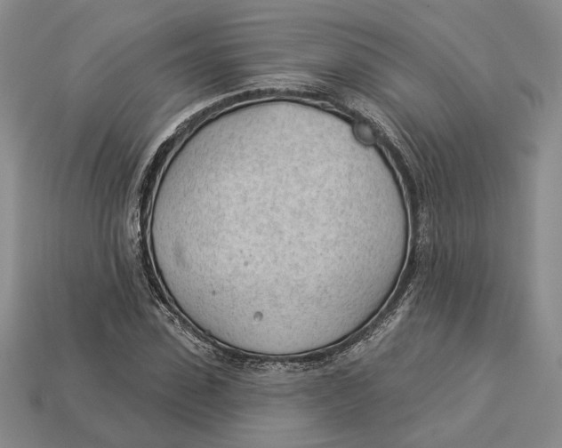 X0000112980923200909171335