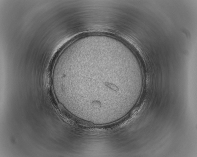 X0000112980925200909171335