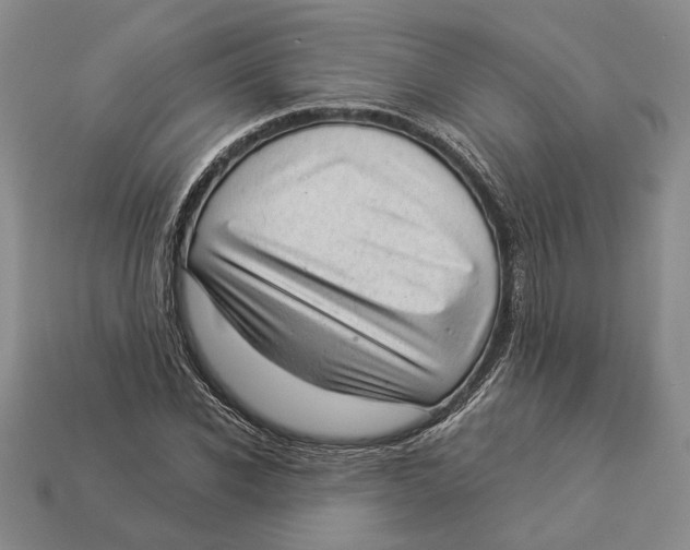 X0000112980926200909171335