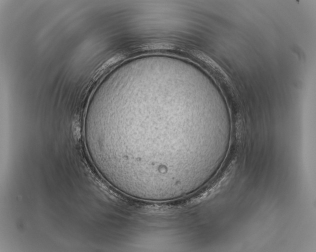 X0000112980929200909171335