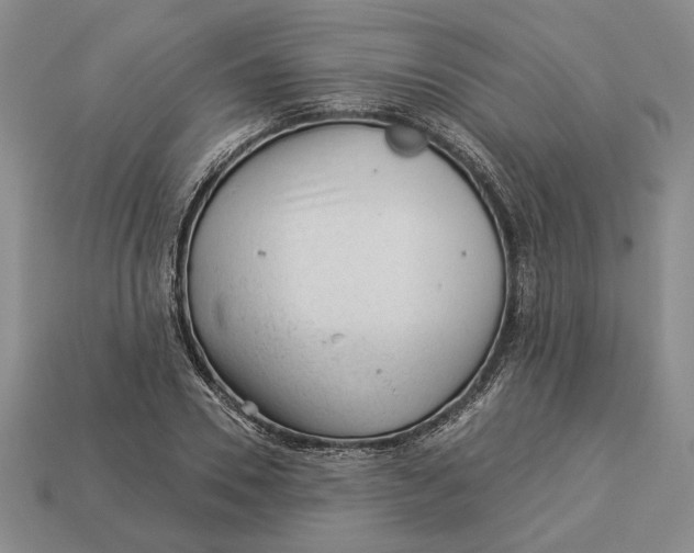 X0000112980930200909171335