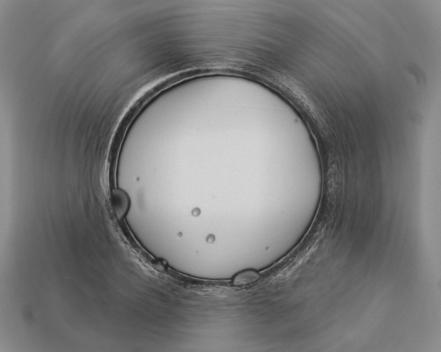 X0000112980932200909171335