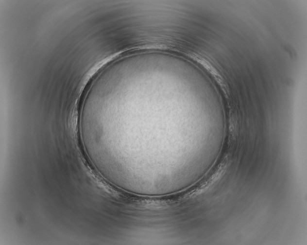 X0000112980933200909171335