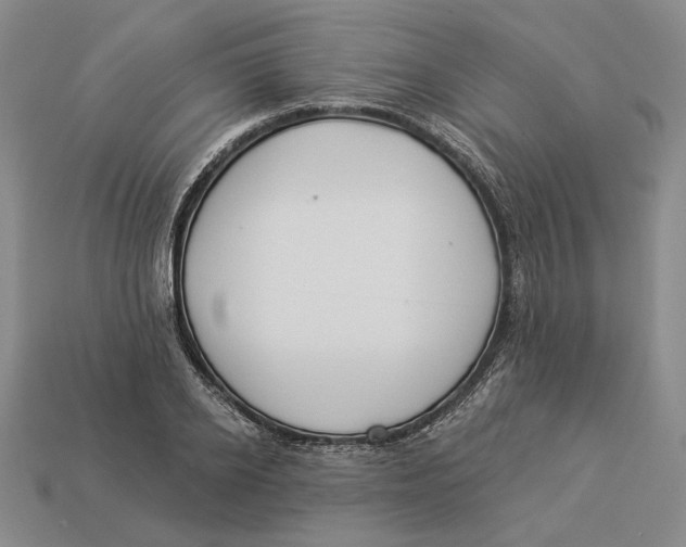 X0000112980934200909171335