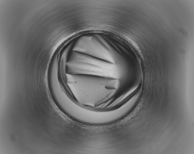 X0000112980936200909171335