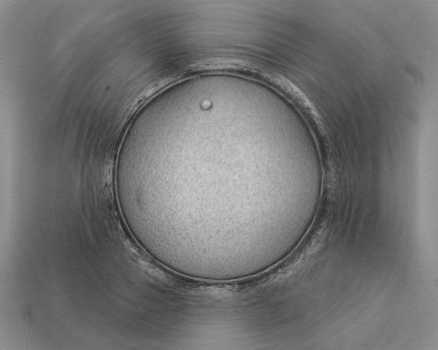 X0000112980937200909171335