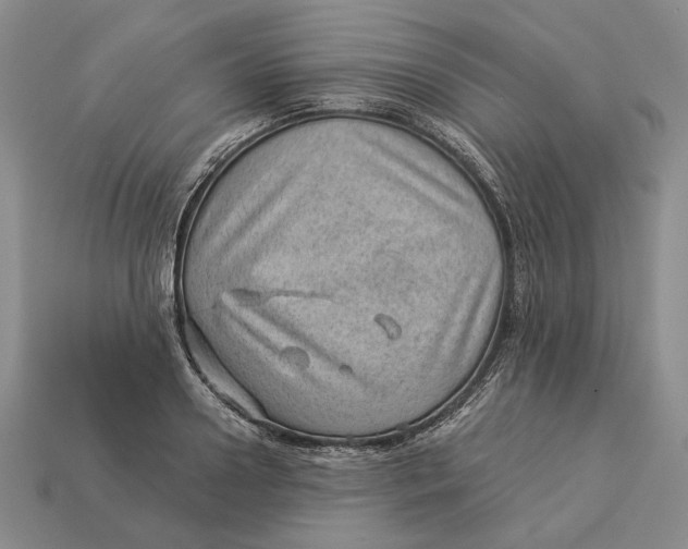 X0000112980938200909171335