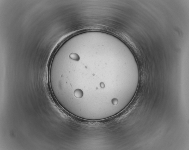 X0000112980940200909171335