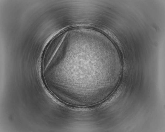 X0000112980941200909171335