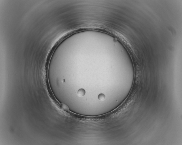 X0000112980942200909171335