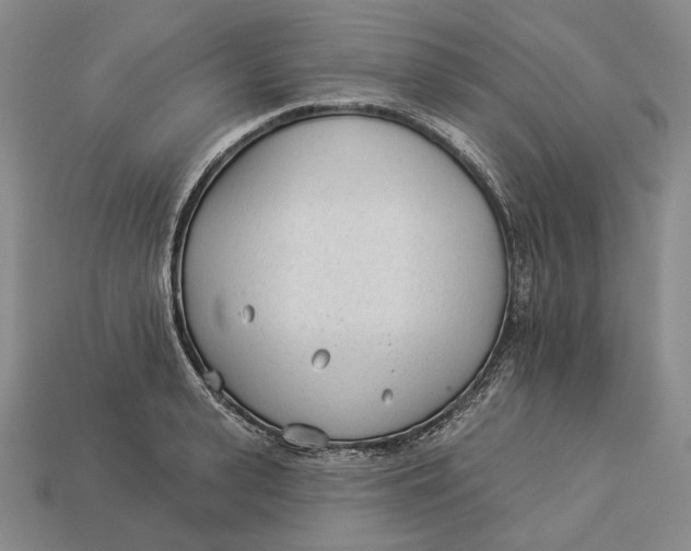 X0000112980943200909171335