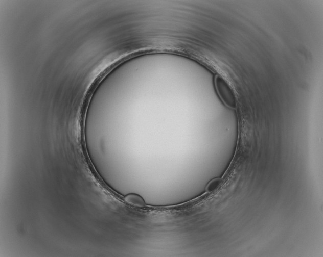 X0000112980944200909171335