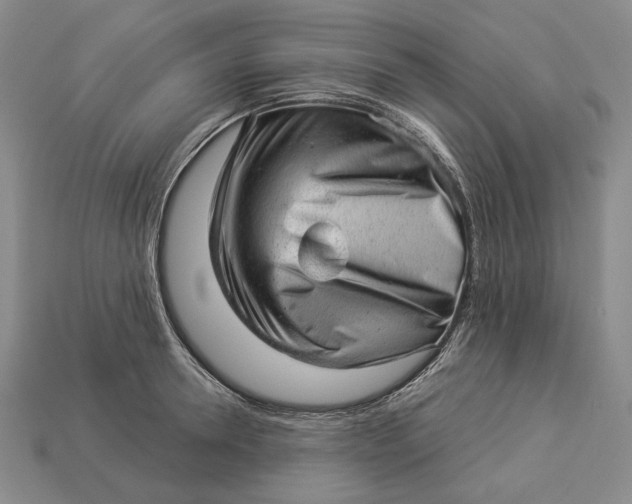 X0000112980946200909171336