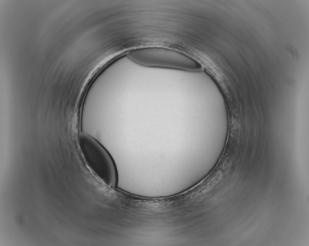 X0000112980948200909171336