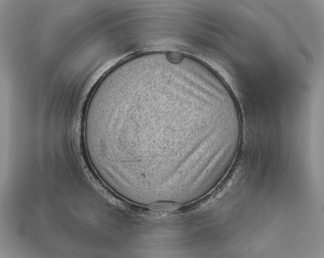 X0000112980949200909171336