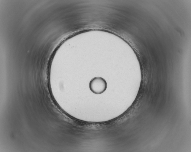 X0000112980950200909171336