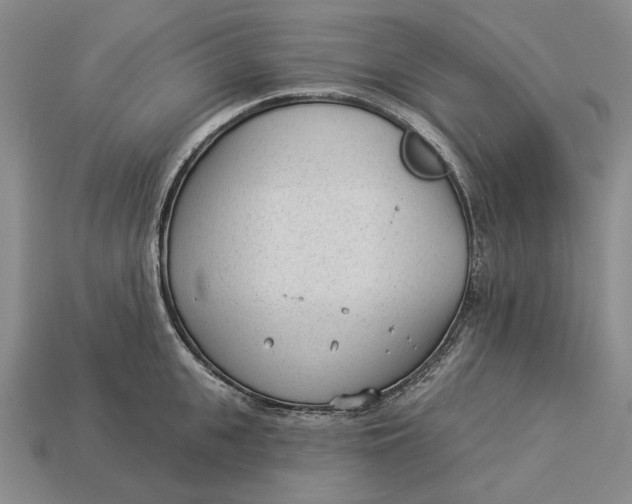 X0000112980951200909171336