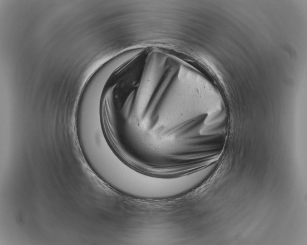 X0000112980952200909171336