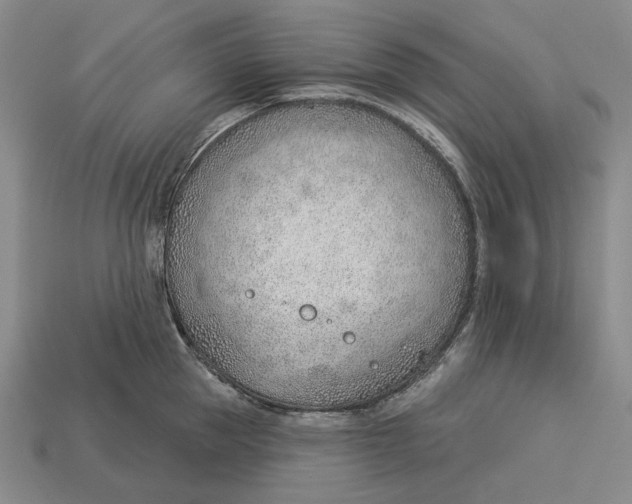 X0000112980953200909171336