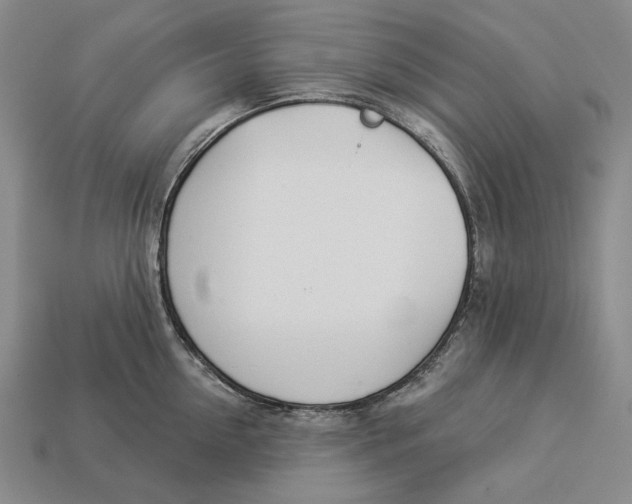 X0000112980954200909171336