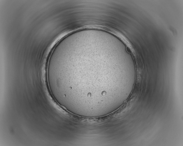 X0000112980955200909171336