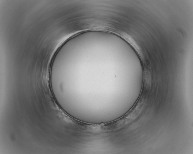 X0000112980956200909171336