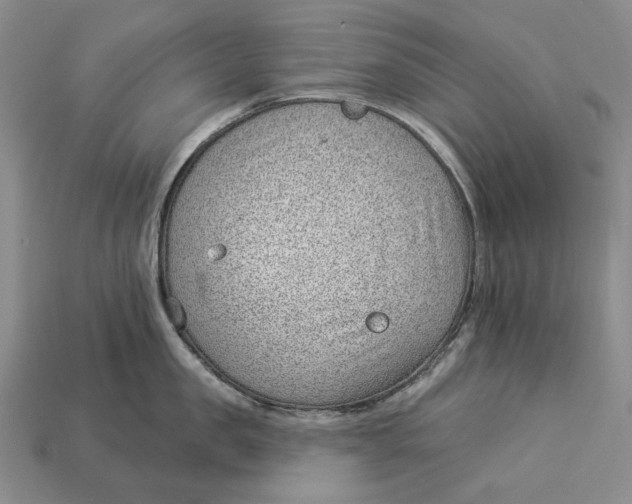 X0000112980957200909171336