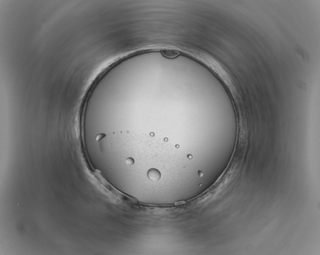 X0000112980958200909171336