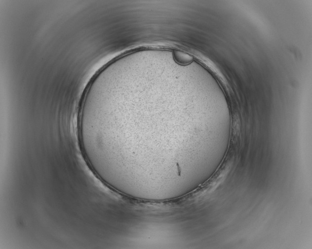 X0000112980959200909171336