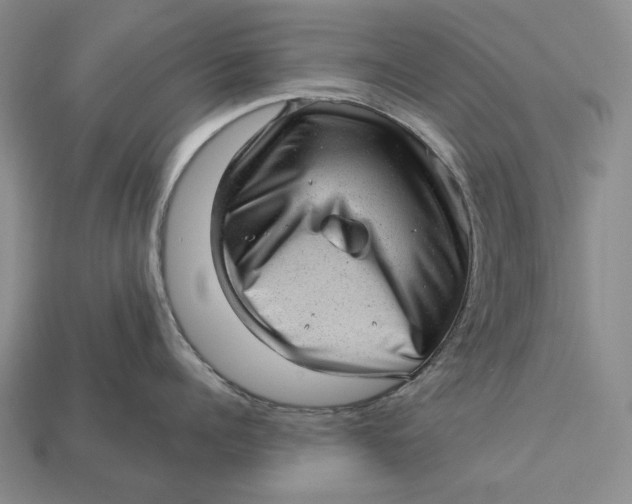 X0000112980960200909171336