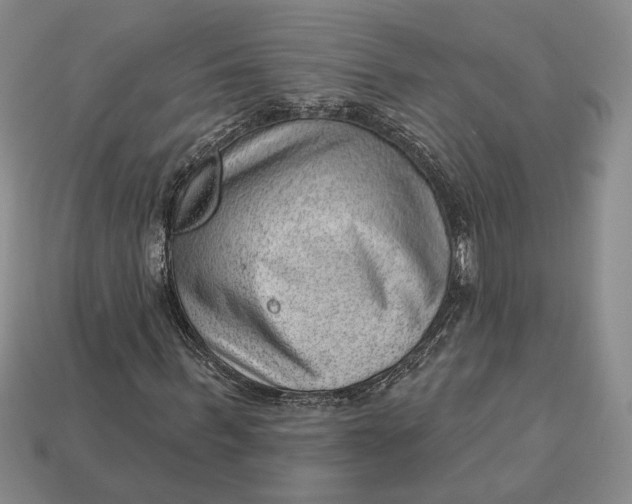 X0000112980963200909171335